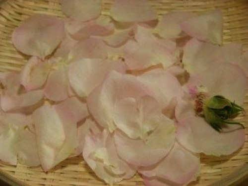 DSCN8600 (300x225).jpg