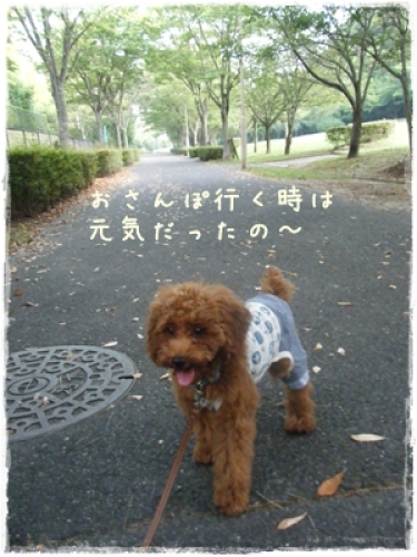 DSCF4166.JPG