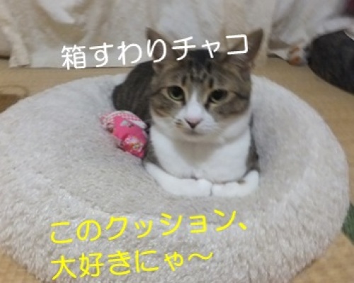 20130623_4.jpg