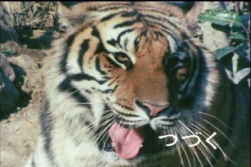 PDVD_027.jpg