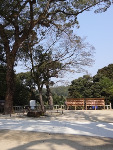 竈門神社春 ブログ用 (10).JPG