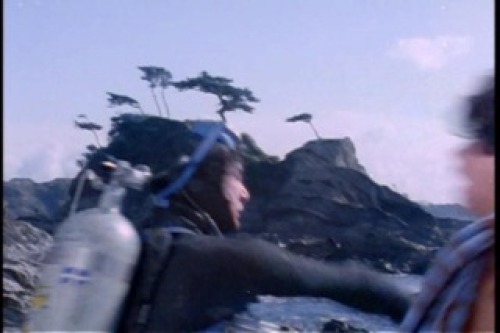 PDVD_004.jpg