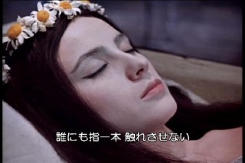 PDVD_010.jpg