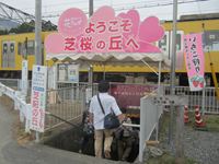 IMG_3997_R.JPG
