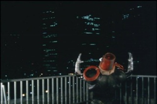 PDVD_028.jpg