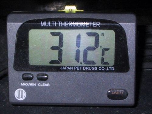 13.08.09水温.JPG