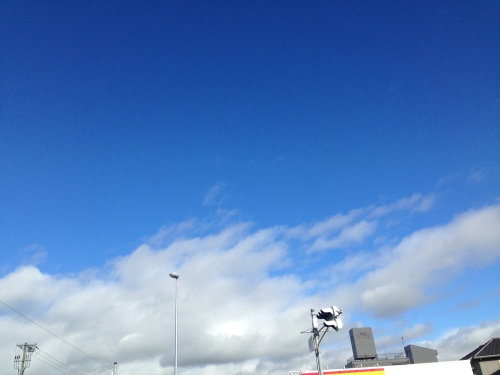 2015-07-21 07.49.23.jpg