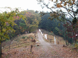 長谷堂城7.jpg