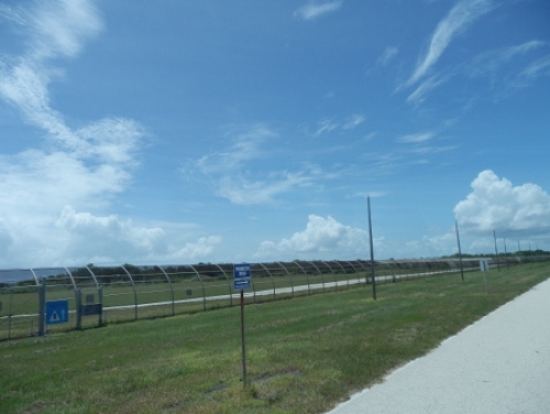 P8050289 (450x338).jpg