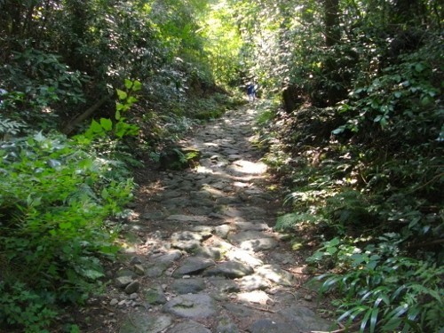 東海道箱根宿畑宿旧東海道 (2) (500x375).jpg