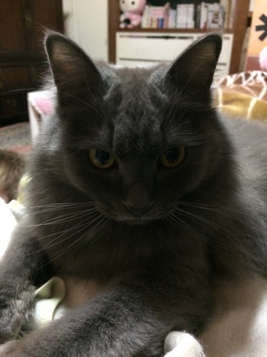 IMG_8399 - コピー.JPG