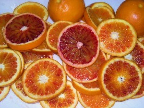 DSCN5797 (300x225).jpg