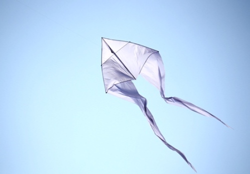 Kite29.jpg