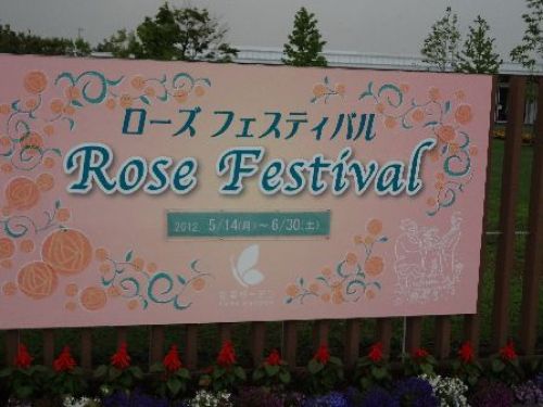 rosefestival.jpg