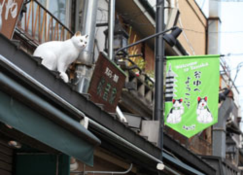 C:\fakepath\「谷根千　谷中銀座商店街の店舗の屋根にたたずむ猫…と思いきや、見事な木彫りの彫刻」.jpg