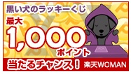 blackdog sp top