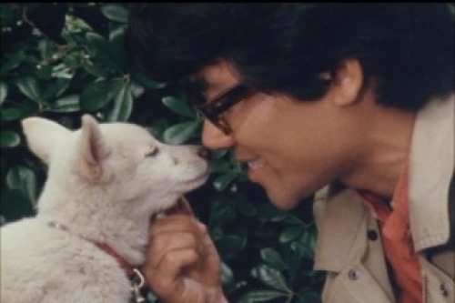 PDVD_007.jpg