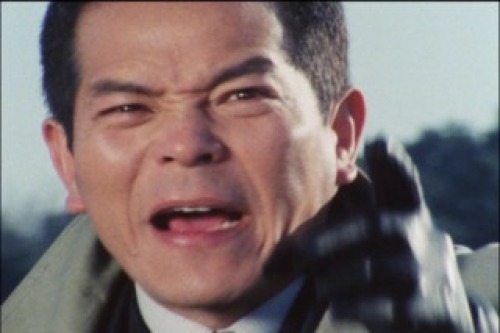 PDVD_168.jpg
