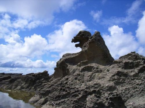 ゴジラ岩.JPG