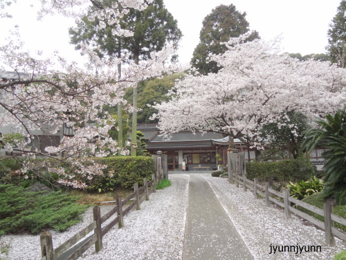 3極楽寺.jpg