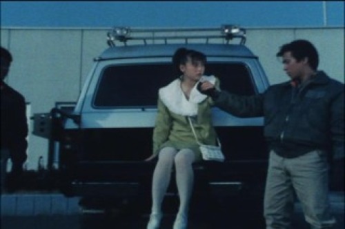 PDVD_242.jpg