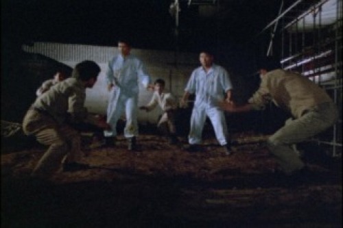 PDVD_033.jpg