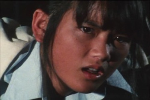 PDVD_018.jpg