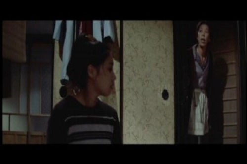 PDVD_002.jpg