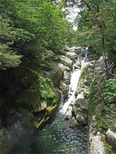 屋久島37.jpg