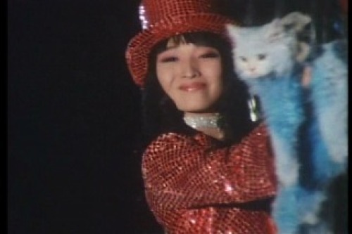 PDVD_001.jpg