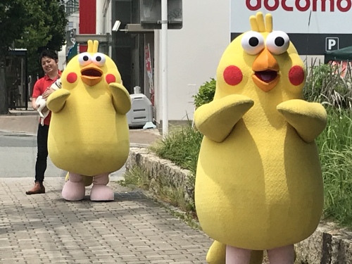 黄色い何かが 小さな散歩道 楽天ブログ