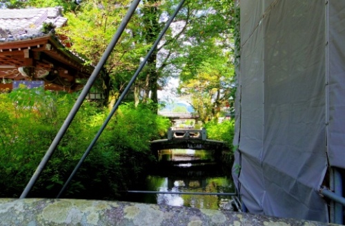 pict-松尾大社 5.jpg