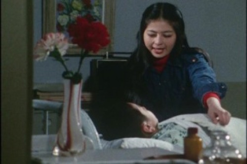 PDVD_014.jpg