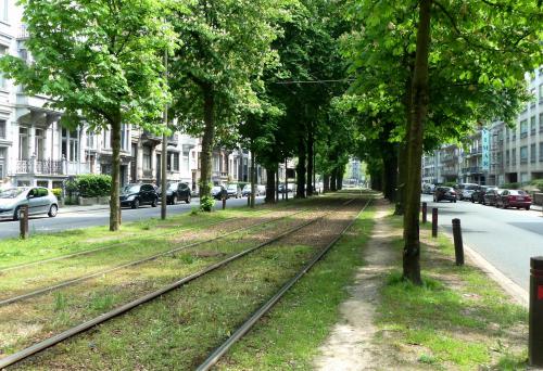 pict-ブリュッセル・トラム 1.jpg