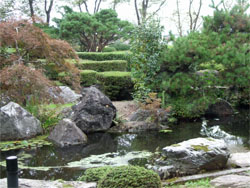 八夢7.jpg