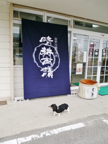 晴耕雨読 佐多宗二商店　日よけのれん