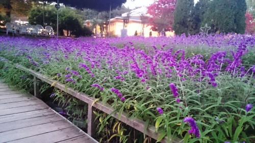 CYMERA_20151021_114001.jpg