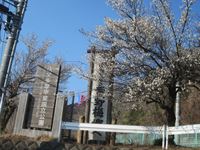 IMG_2131_R.JPG