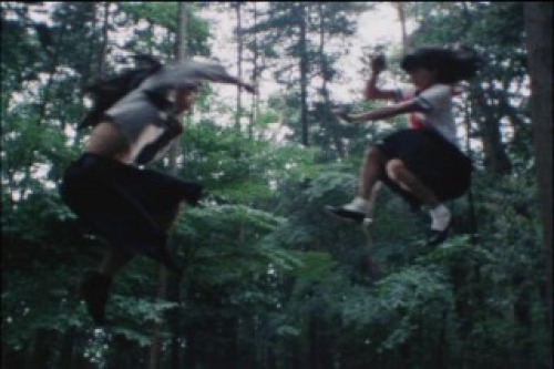 PDVD_055.jpg
