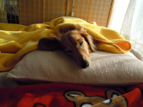 DSCN6735.JPG