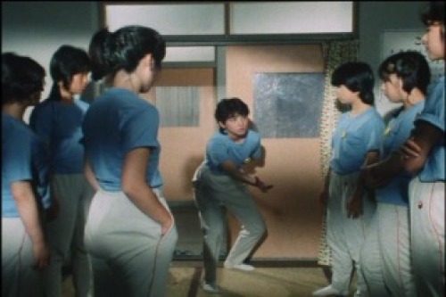 PDVD_018.jpg