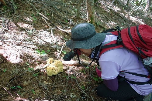 20140712ハナビラ４撮る.jpg