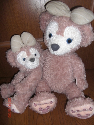 CIMG7347 (480x640).jpg