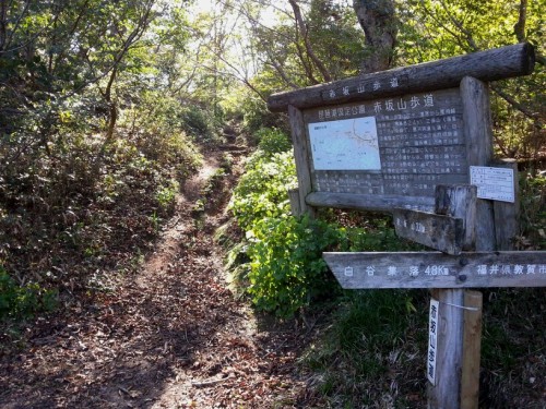 黒河峠登山口.jpg