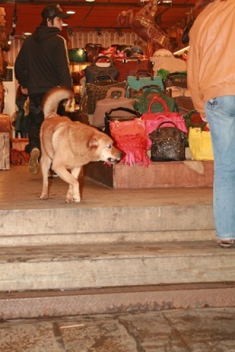 2012-04-06 2012-04-06 002 047.JPG