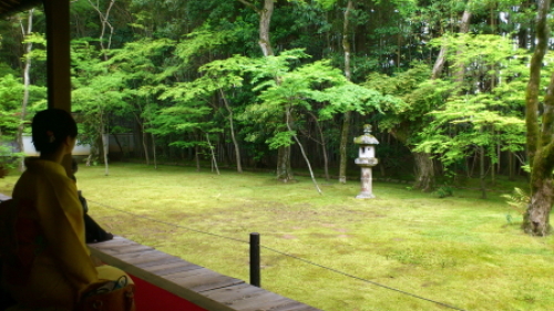 高桐院