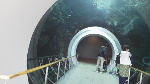 水族館入口.jpg
