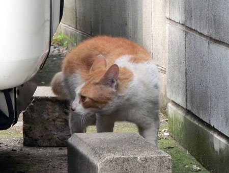 23.jpg