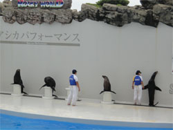 鴨川27.jpg