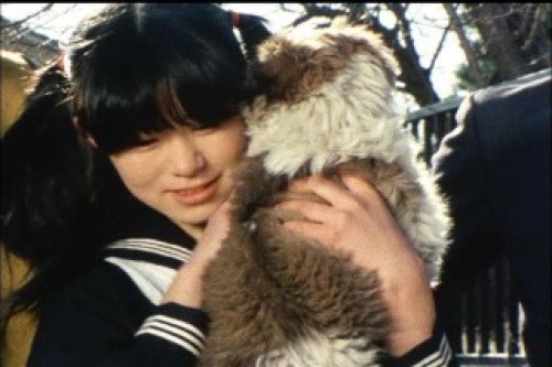PDVD_005.jpg